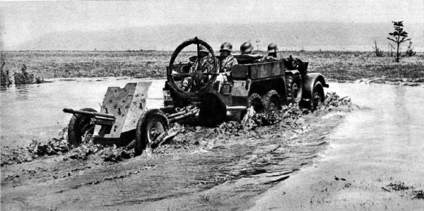 SdKfz69-2.jpg (75736 Byte)