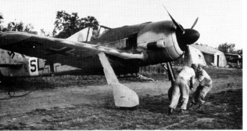 Fw190F2-1.jpg (41783 Byte)