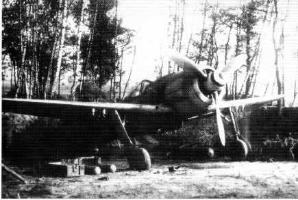 Fw190F8R1-1.jpg (53431 Byte)