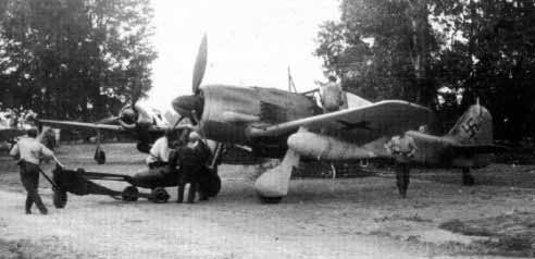 Fw190G3-2.jpg (38449 Byte)