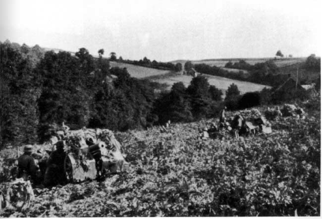 7,5-cmgebK15-12.jpg (84929 Byte)