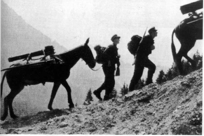 7,5-cmgebK15-8.jpg (79804 Byte)