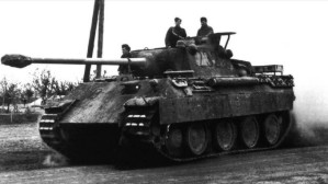 PantherD-1.jpg (13997 Byte)