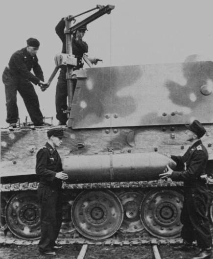 Tiger-Sturm-1.jpg (43704 Byte)