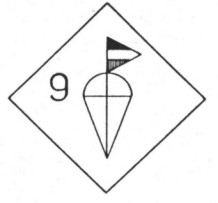 9FJD-1.JPG (7693 Byte)