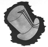 4JG53-1.JPG (7735 Byte)