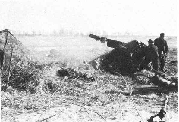 21LFD-4.jpg (26455 Byte)