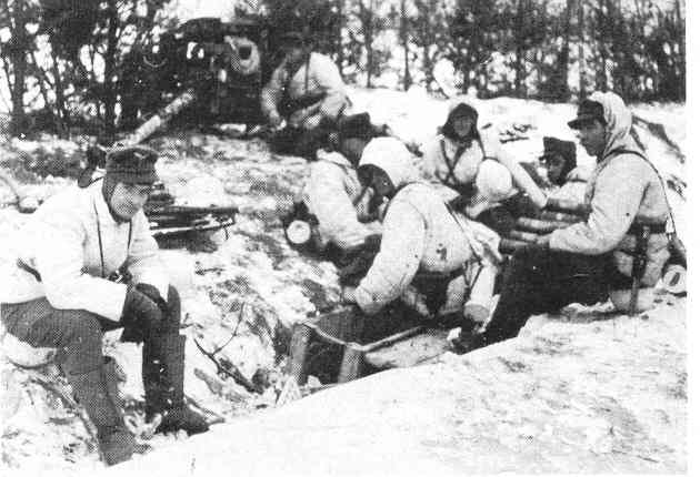 21LFD-5.jpg (32064 Byte)