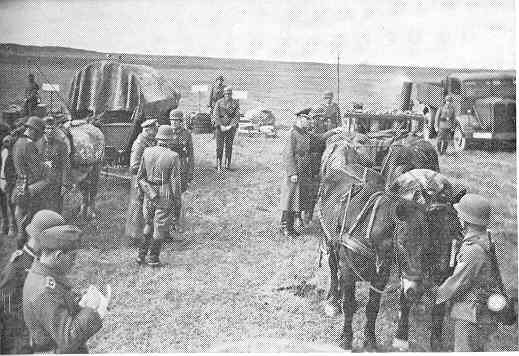 290ID-2.jpg (30571 Byte)