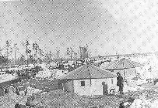 290ID-3.jpg (29407 Byte)