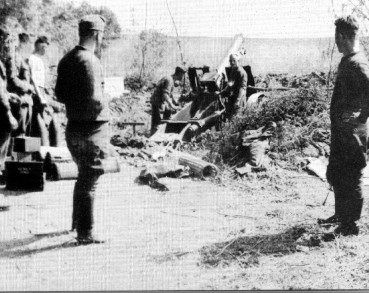 IR41-3.jpg (42515 Byte)